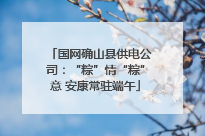 国网确山县供电公司：“粽”情“粽”意 安康常驻端午