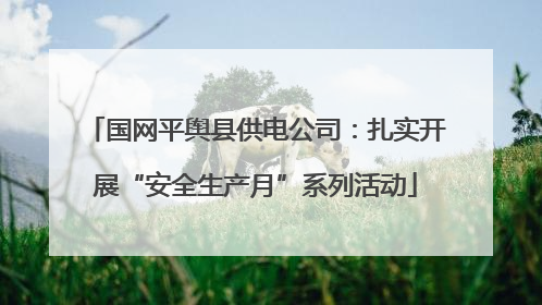 国网平舆县供电公司：扎实开展“安全生产月”系列活动