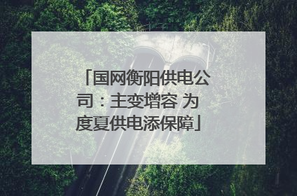 国网衡阳供电公司：主变增容 为度夏供电添保障