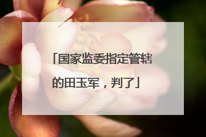 国家监委指定管辖的田玉军，判了