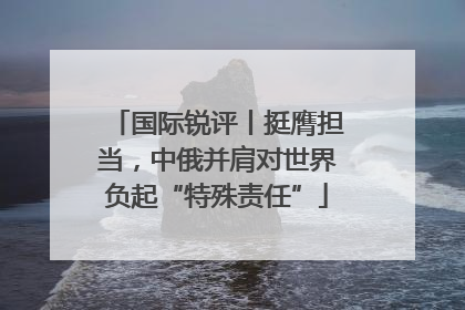 国际锐评丨挺膺担当，中俄并肩对世界负起“特殊责任”