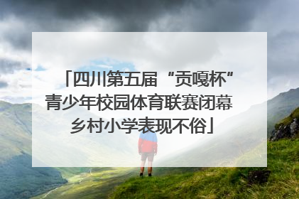 四川第五届“贡嘎杯”青少年校园体育联赛闭幕 乡村小学表现不俗