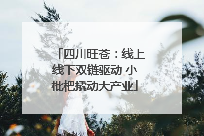四川旺苍：线上线下双链驱动 小枇杷撬动大产业