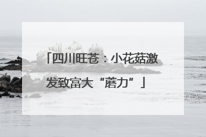 四川旺苍：小花菇激发致富大“蘑力”