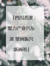 四川苍溪：聚力产业兴东溪 擘画振兴新画卷