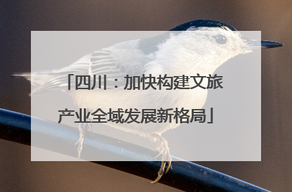 四川：加快构建文旅产业全域发展新格局