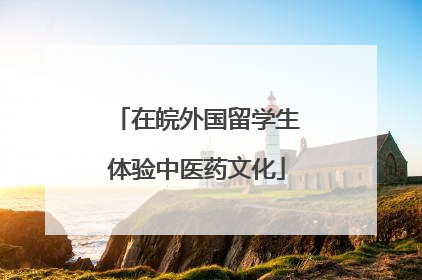 在皖外国留学生体验中医药文化