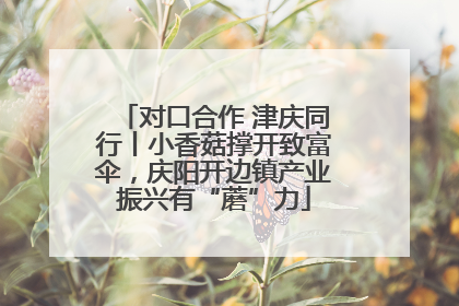 对口合作 津庆同行丨小香菇撑开致富伞，庆阳开边镇产业振兴有“蘑”力