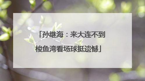 孙继海：来大连不到梭鱼湾看场球挺遗憾