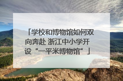 学校和博物馆如何双向奔赴 浙江中小学开设“一平米博物馆”