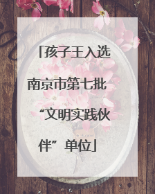 孩子王入选南京市第七批“文明实践伙伴”单位