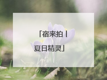宿来拍丨夏日精灵