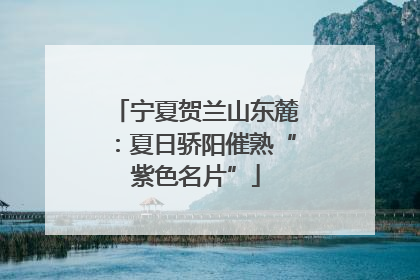 宁夏贺兰山东麓：夏日骄阳催熟“紫色名片”