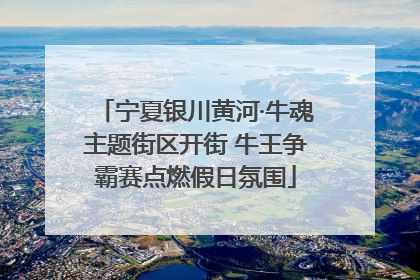 宁夏银川黄河·牛魂主题街区开街 牛王争霸赛点燃假日氛围