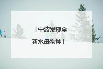 宁波发现全新水母物种