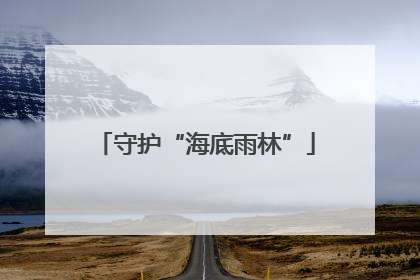 守护“海底雨林”