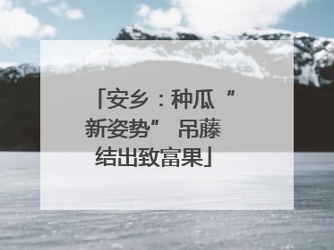 安乡：种瓜“新姿势” 吊藤结出致富果