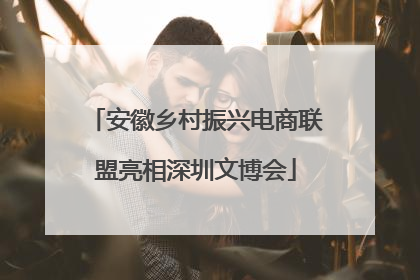 安徽乡村振兴电商联盟亮相深圳文博会