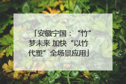 安徽宁国：“竹”梦未来 加快“以竹代塑”全场景应用