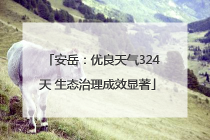 安岳：优良天气324天 生态治理成效显著