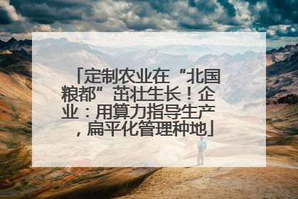 定制农业在“北国粮都”茁壮生长！企业：用算力指导生产，扁平化管理种地