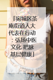 宛城区茶庵街道人大代表在行动：弘扬中医文化 把脉基层健康