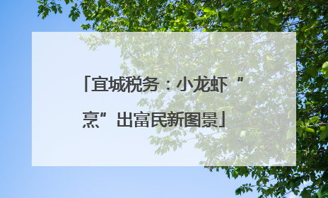 宜城税务：小龙虾“烹”出富民新图景