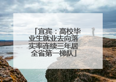 宜宾：高校毕业生就业去向落实率连续三年居全省第一梯队