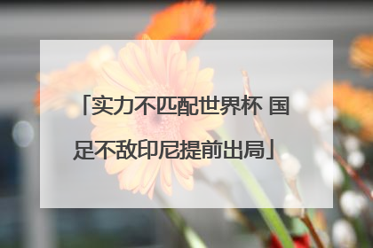实力不匹配世界杯 国足不敌印尼提前出局