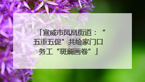 宣威市凤凰街道：“五重五促”共绘家门口务工“斑斓画卷”
