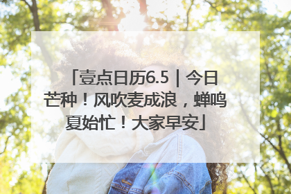 壹点日历6.5｜今日芒种！风吹麦成浪，蝉鸣夏始忙！大家早安