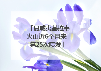 夏威夷基拉韦火山近6个月来第25次喷发