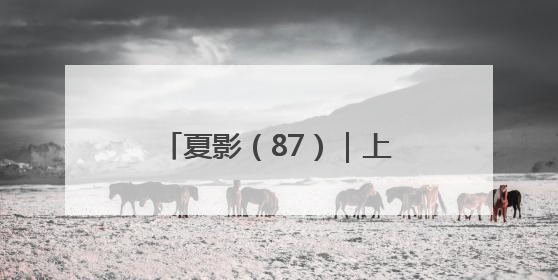 夏影（87）｜上游主题摄影征稿作品展——周社根作品