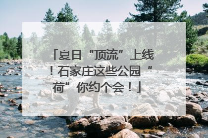 夏日“顶流”上线！石家庄这些公园“荷”你约个会！