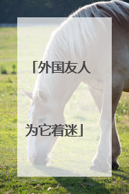 外国友人为它着迷