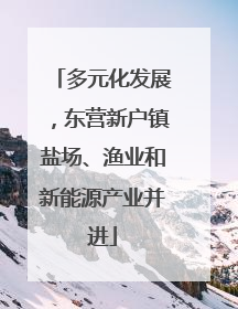 多元化发展，东营新户镇盐场、渔业和新能源产业并进