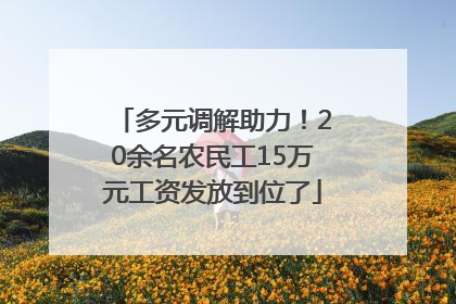 多元调解助力！20余名农民工15万元工资发放到位了