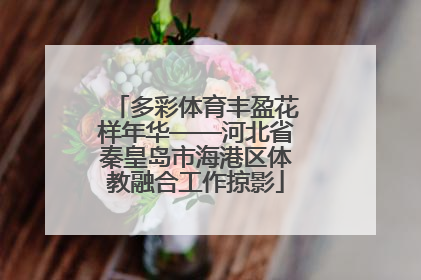 多彩体育丰盈花样年华——河北省秦皇岛市海港区体教融合工作掠影