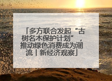 多方联合发起“古树名木保护计划”，推动绿色消费成为潮流丨新经济观察
