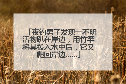 夜钓男子发现一不明活物趴在岸边，用竹竿将其拨入水中后，它又爬回岸边……