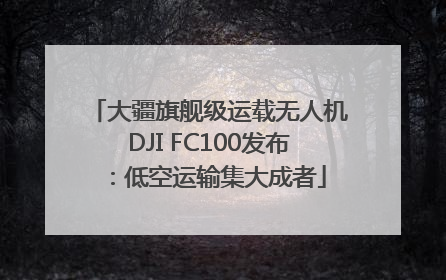 大疆旗舰级运载无人机DJI FC100发布：低空运输集大成者