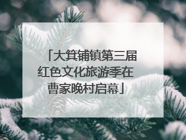 大箕铺镇第三届红色文化旅游季在曹家晚村启幕