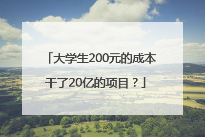 大学生200元的成本干了20亿的项目？
