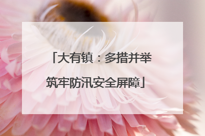 大有镇：多措并举筑牢防汛安全屏障