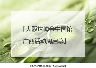 大阪世博会中国馆广西活动周启幕