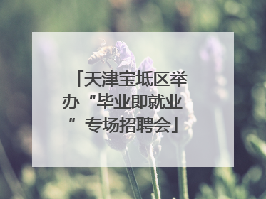 天津宝坻区举办“毕业即就业”专场招聘会