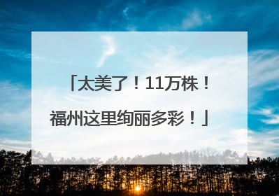 太美了！11万株！福州这里绚丽多彩！