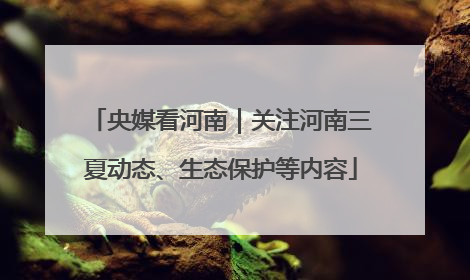 央媒看河南｜关注河南三夏动态、生态保护等内容