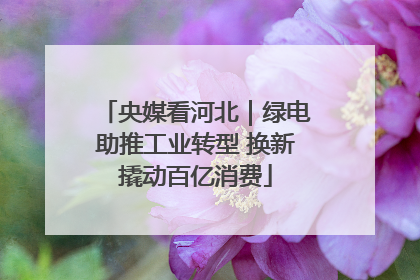 央媒看河北｜绿电助推工业转型 换新撬动百亿消费