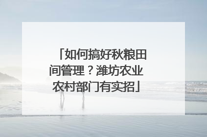 如何搞好秋粮田间管理？潍坊农业农村部门有实招